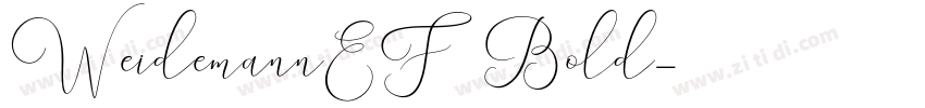 WeidemannEF Bold字体转换